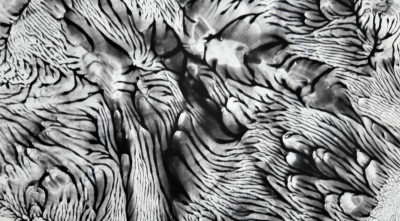 vimeo